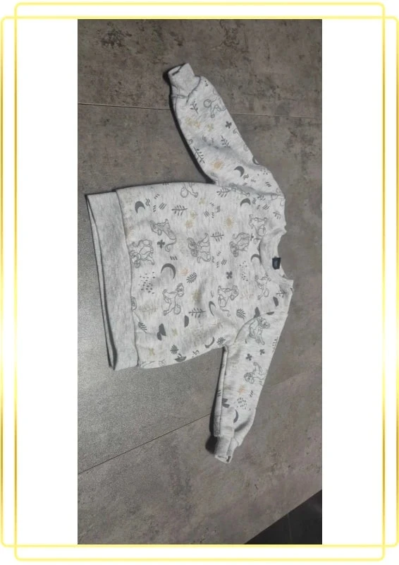 Sudadera Simba – photo 2